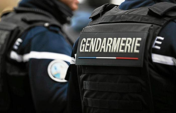 Child pornography: 95 arrests in France in the dismantling of a major international network