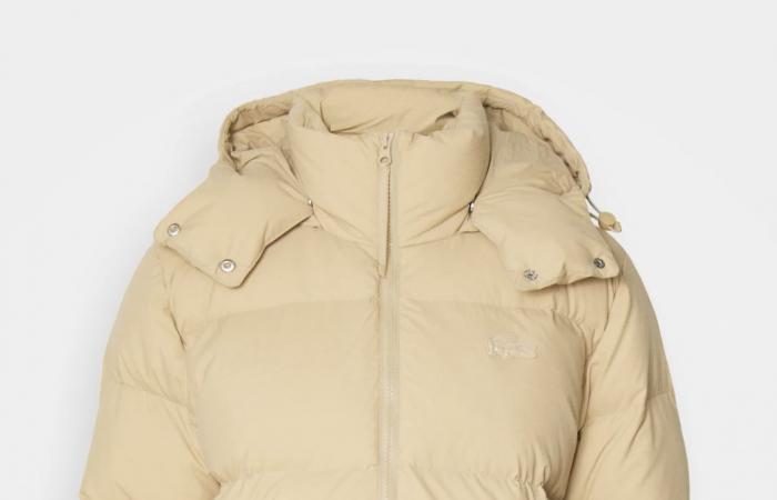 Trendy down jackets for winter 2024-2025