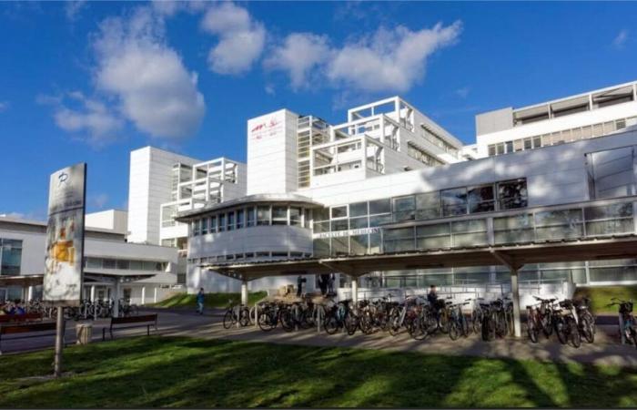 The Faculty of Medicine of Tours is looking for “fictitious patients”: here’s how to register