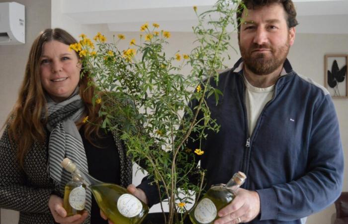 Near Blois they sell a “arranged rum” with surprising aromatic plants