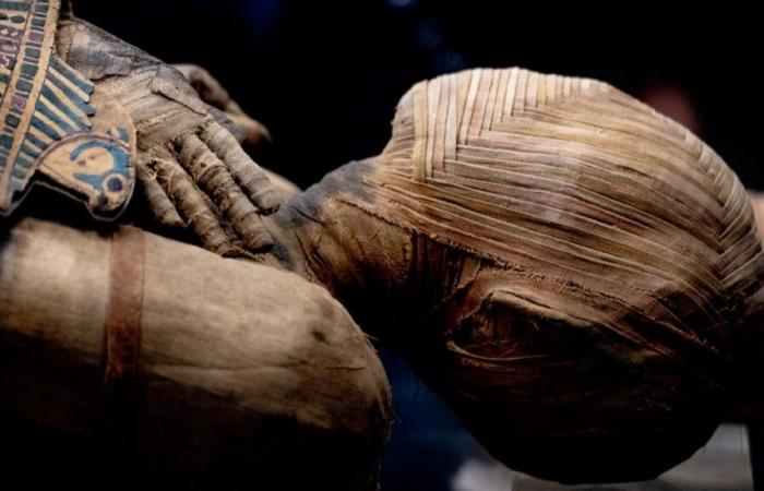 Rare mummies with golden tongues and nails discovered in Egypt