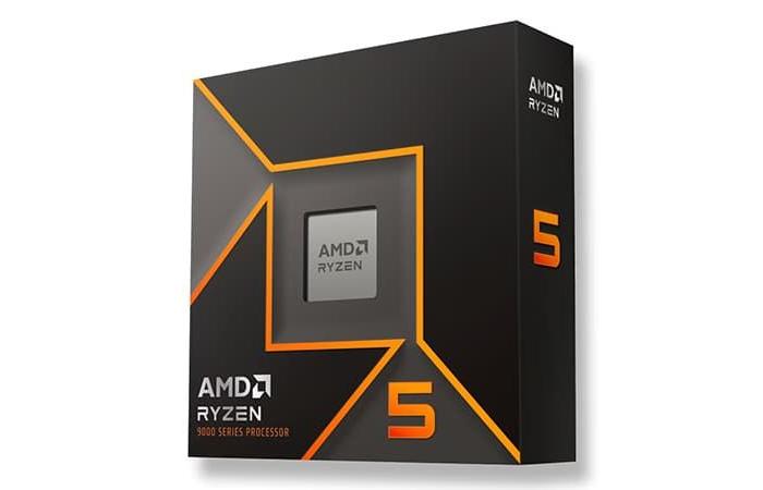 The non-X Ryzen 5 9600 launched at the end of January? It seems so