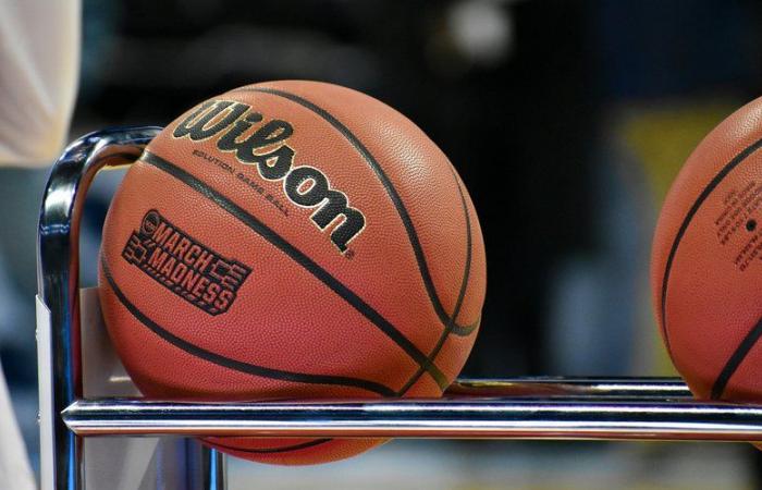 They take out Palestinian flags during a basketball match with an Israeli club: the meeting degenerates, the police intervene to put an end to “the emerging clashes between supporters”