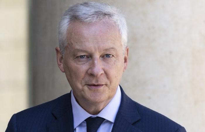 In order to “strengthen its industry”, a Dutch machinery manufacturer hires former Minister of the Economy Bruno Le Maire as an advisor