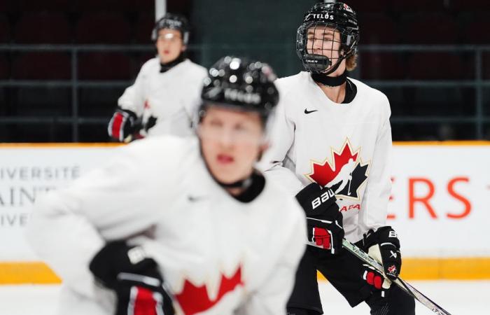 World Junior Hockey | Canadian phenomenon Gavin McKenna ready to take flight