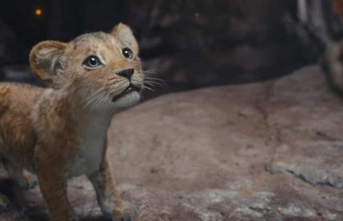 Review of the film “Mufasa: The Lion King”: flawless!