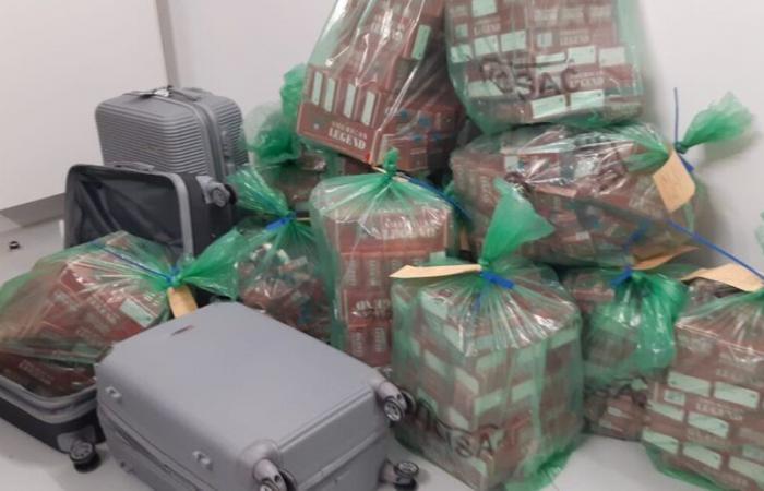 the suitcases of these travelers arriving from Italy hid suspicious merchandise