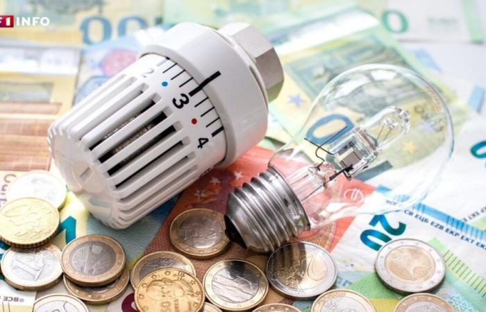 Energy check: hundreds of thousands of French people have not yet requested it, the deadline could be extended