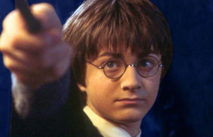 Harry Potter: when will the new adaptation be released as a television series | M.A.G.