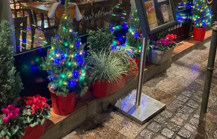 “Because of theft, I no longer install one at the entrance to my business”: when Christmas trees disappear as if by magic in Toulouse…