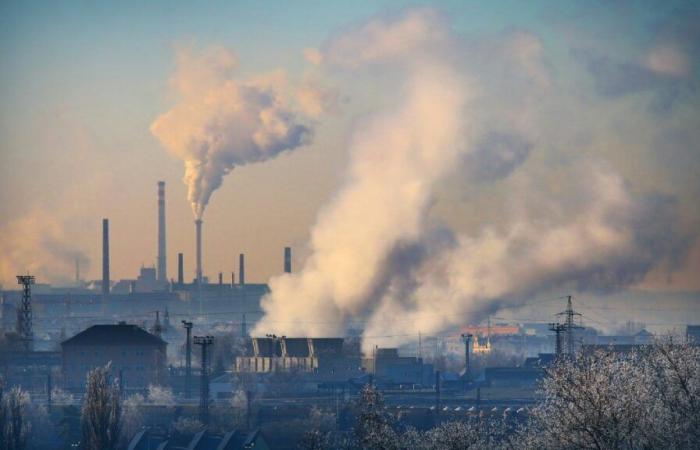 Study confirms worrying link between mental disorders and pollution