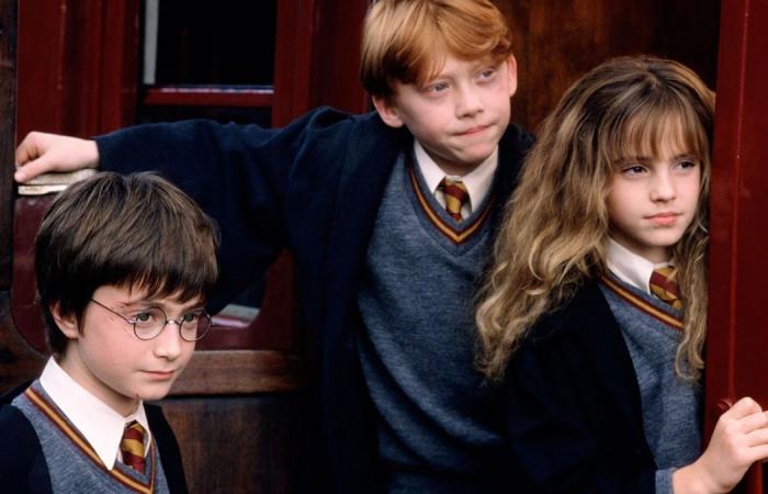 Harry Potter: when will the new adaptation be released as a television series | M.A.G.