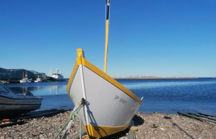 With his work dedicated to the dory, the author Marc Derible recalls his attachment to the heritage of Saint-Pierre and Miquelon