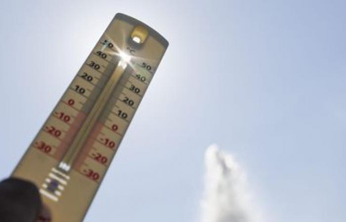 In France, 2024 is one of the hottest years since 1900, according to Météo-France