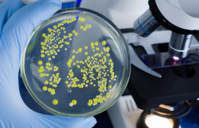 Health. How do bacteria become resistant to antibiotics?