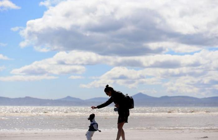 Cold and bright today as Met Éireann gives early outlook for Christmas Day weather