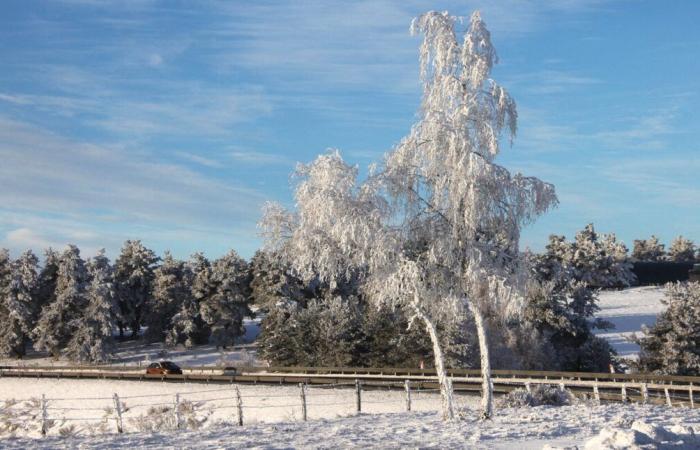 Grenoble and Isère placed on alert for snow, ice and violent winds, forecasts