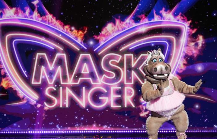 Mask Singer: discover the jury for the next season!