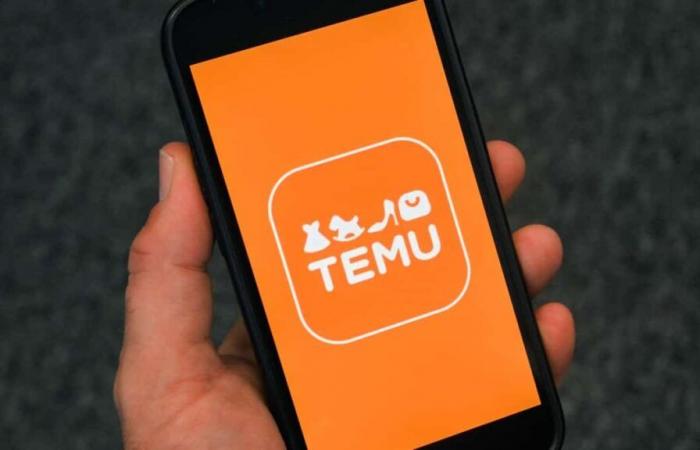 Temu signs Canada’s Product Safety Commitment