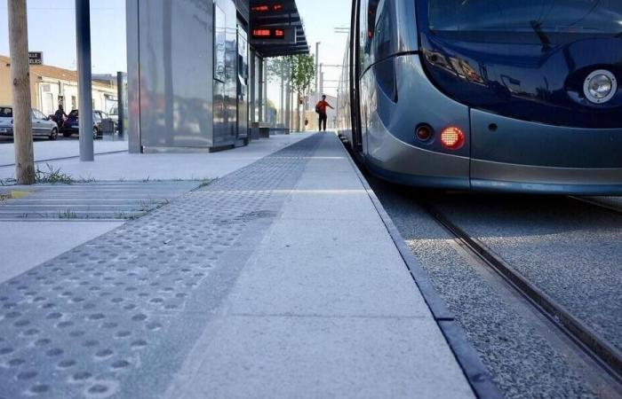 A transport officer dies after being hit by a tram in Tourcoing