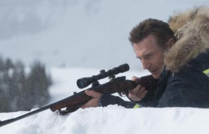 Liam Neeson as a murderer seeking revenge, a new version of the European cult film