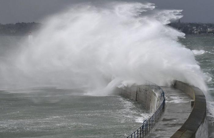 2024 climate report in France: precipitation, sunshine, temperatures… the weather year in figures