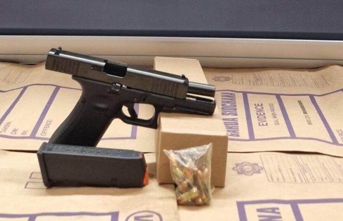 Ireland’s ‘number one’ criminal gang targeted as gardaí seize gun ‘intended for use’ in murder