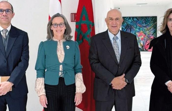 Denmark is interested in the OCP galaxy – Morocco today