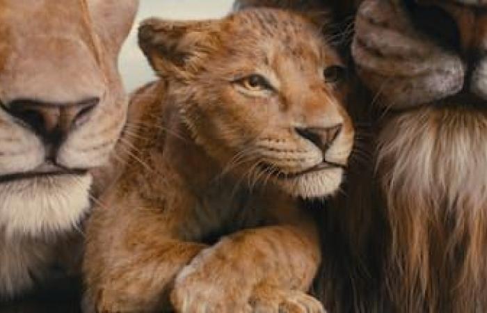 Review of the film “Mufasa: The Lion King”: flawless!