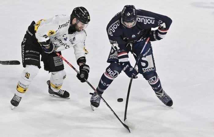 Ice hockey – Coupe de France. It will be Rouen – Angers in the semi-final. Sport