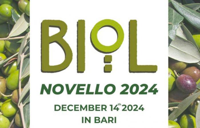 “Biol Novello” competition for olive oil: The gold medal for a Tunisian brand