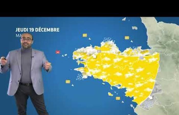 The weather for your Thursday, December 19, 2024 – Weather news