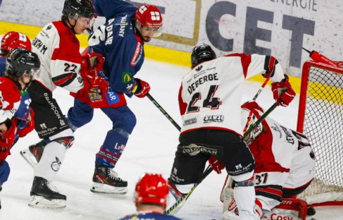 Ice hockey – Coupe de France. For Briançon, “it is better to take Grenoble at home than in Paris”: an Alpine derby for a place in the final