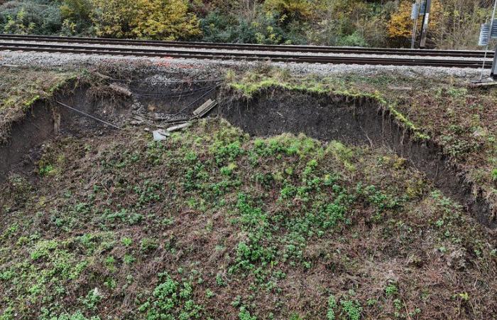 Top News: the line between Toulouse and Bayonne on two tracks again this Friday, the bell tower of a church in Tarbes destroyed… news to follow this Thursday, December 19