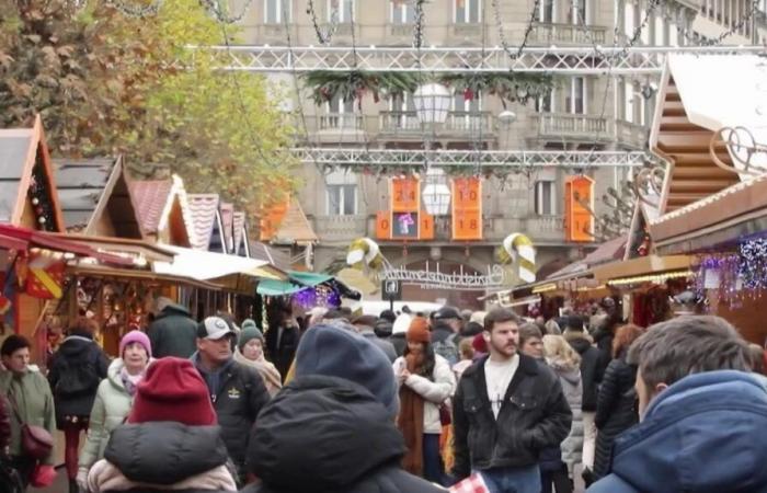 immersion in the famous Strasbourg Christmas market