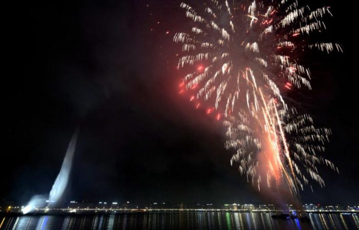 Electro, disco, mapping and fireworks on the New Year’s Eve menu in Geneva