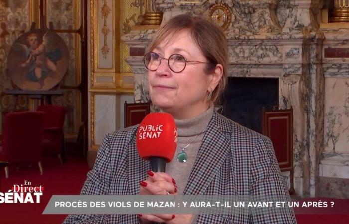 Mazan rape trial: Dominique Pélicot’s sentence to 20 years in prison is “deserved, what he did is just despicable”, says Dominique Vérien