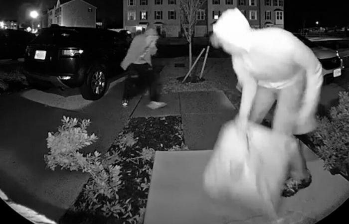 VIDEO. United States: they steal a package and come back to taunt the surveillance cameras