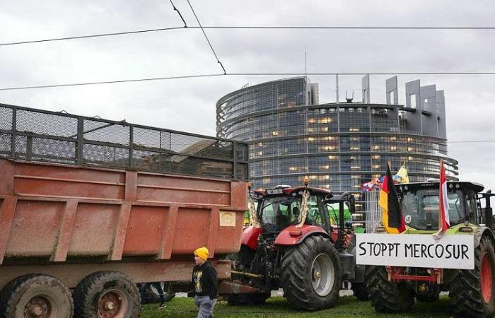 French and German tractors unite in front of the European Parliament