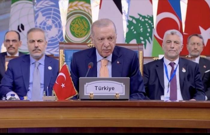 Erdogan calls for reconstruction of war-torn Syria