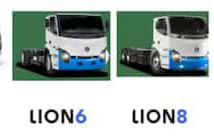 Lion autopsy: here’s what you need to know about manufacturer claims