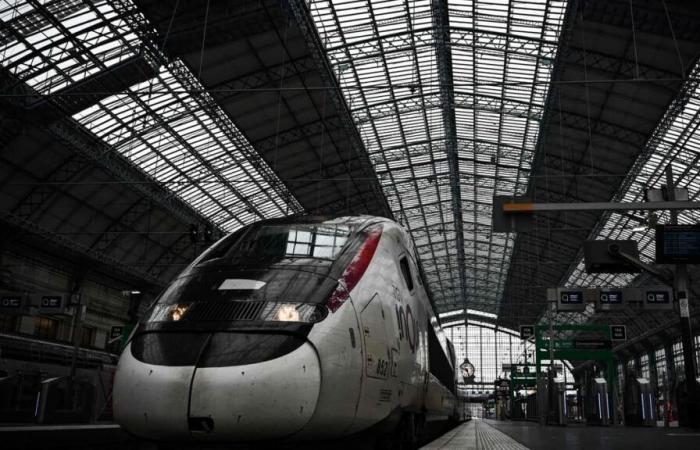 Sentenced to 18 years for giving birth and then killing her newborn on a TGV