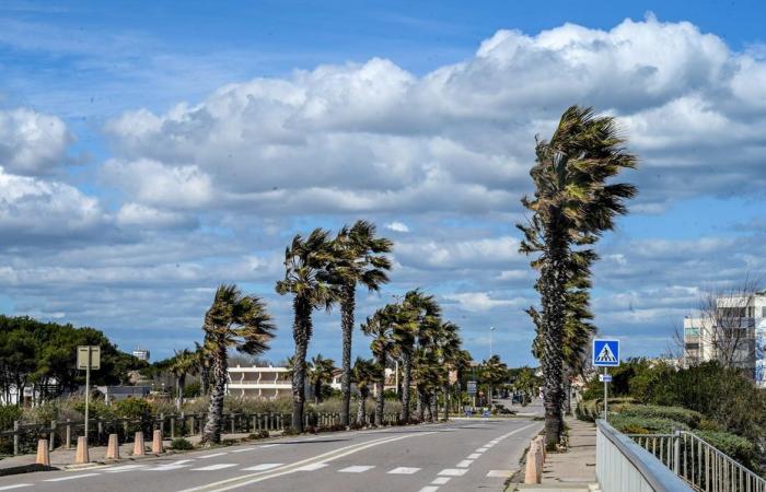 up to 120 km/h on Canigou, violent gusts of wind expected this Thursday evening in Roussillon and Aude