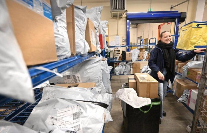 ‘Around 4,000 packages every day’: how La Poste d’Albi manages the Christmas rush