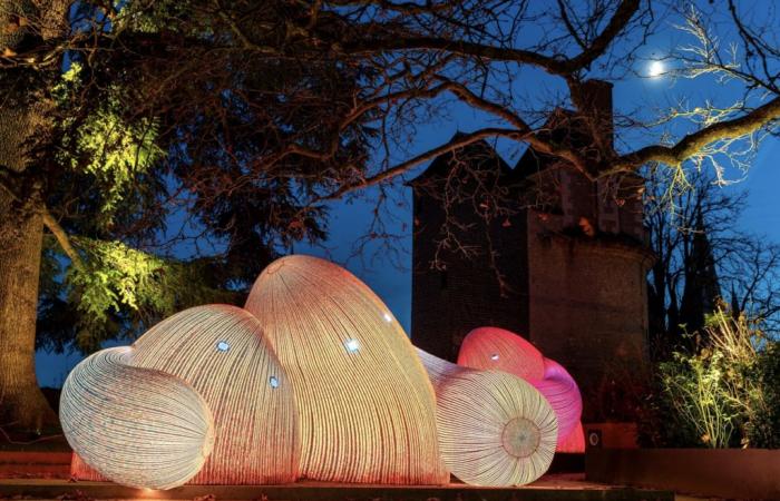 Blois. What are these surprising creatures that have taken over the royal castle?