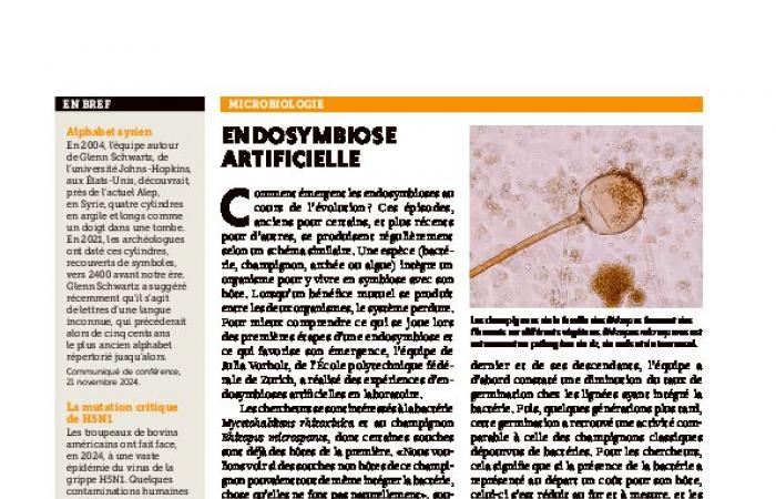 Pyrene molecules identified in the interstellar medium