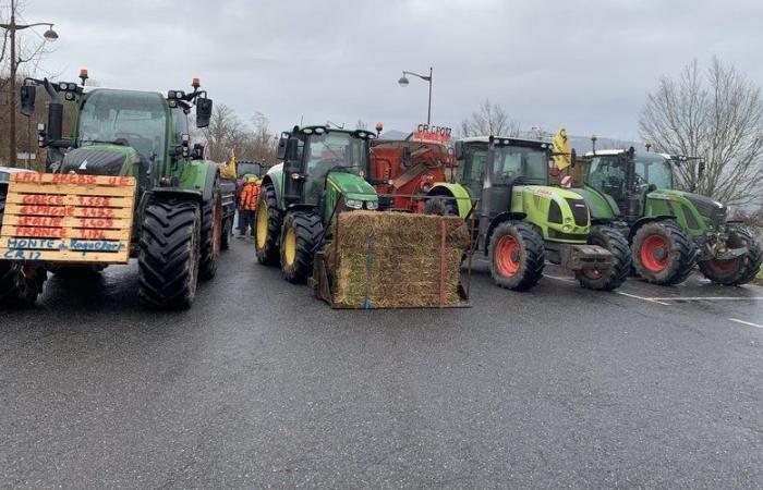 Price of sheep milk: rural coordination in the streets of Roquefort-sur-Soulzon