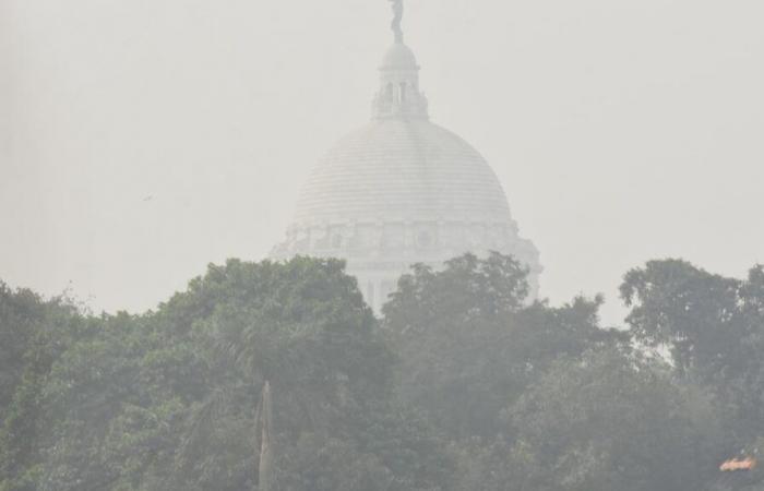 IMD Issues Red Alert! Temperature, AQI, Forecast For Next 7 Days News24 –