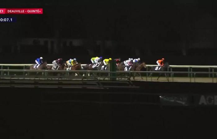 Quinté+: PRIX DE LA SUISSE NORMANDE – DEAUVILLE – 12/19/2024: runners, predictions and results in videos – Race 1