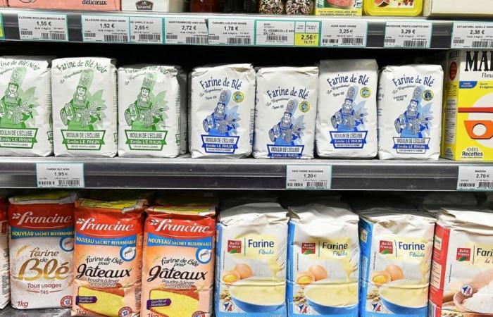 Pregnancy: why does ANSES recommend enriching flours with folic acid in France?